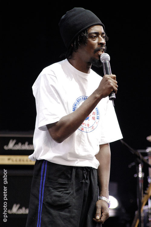 Bastille-Bresil-A-453