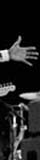 085_bresils_bresils