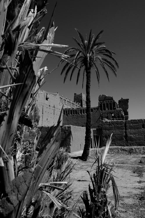 w-Maroc1_689NB